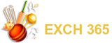 Winstarexchange Logo